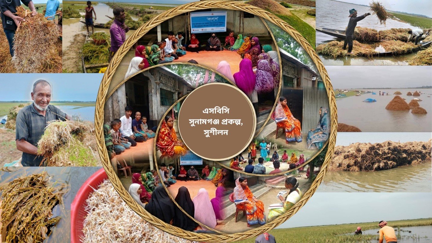 সুনামগঞ্জে পানির নিচে বোরো ধান, বাড়ছে কৃষকের দুশ্চিন্তা; এসব...